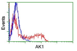 AK1 / Adenylate Kinase 1 Antibody (clone OTI19D1)