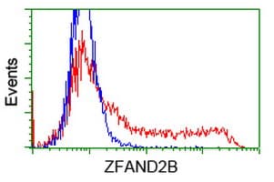 ZFAND2B Antibody (clone OTI3A5)