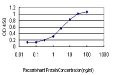 IHC-plus™ Monoclonal Mouse anti-Human GMPS / GMP Synthase Antibody (clone 1D10, IHC, WB)