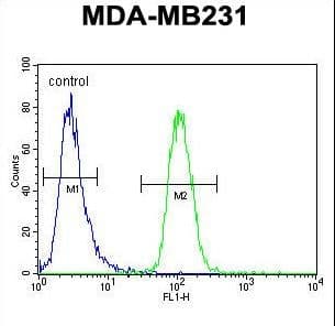 GNL3L Antibody (aa102-130)