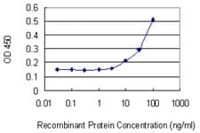 POU4F1 / BRN3A Antibody (clone 7B4)