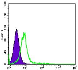 CHD3 Antibody (clone 2G4)