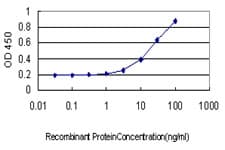 STAU1 / Staufen Antibody (clone 3D8)