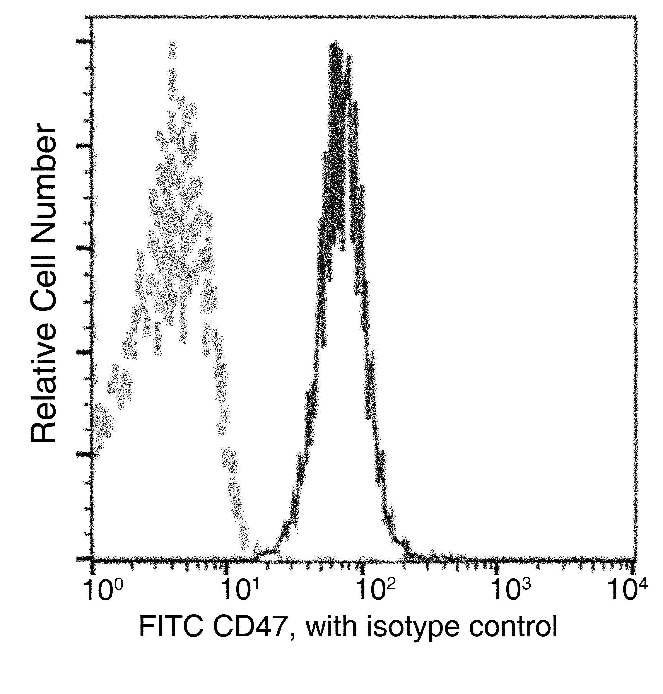 Monoclonal Mouse anti-Human CD47 Antibody (clone 07, FITC)