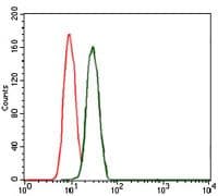BPIFB1 Antibody (clone 4H2)