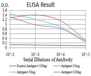 ASF1B Antibody (clone 6G7G4)
