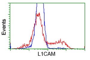 Monoclonal Mouse anti-Human L1CAM Antibody (clone OTI4F4, IHC, IF, WB)