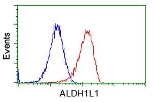 Monoclonal Mouse anti-Human ALDH1L1 Antibody (clone OTI5G8, IF, WB)