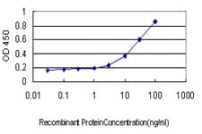 HNF4A / HNF4 Antibody (clone 4E2)