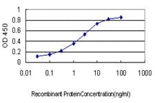 CREBBP / CREB Binding Protein Antibody (clone 2H5)
