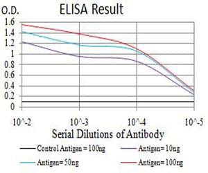 EIF4EBP1 / 4EBP1 Antibody (phospho-Ser65, clone 2D1G11)