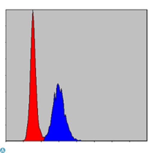 MMP9 / Gelatinase B Antibody