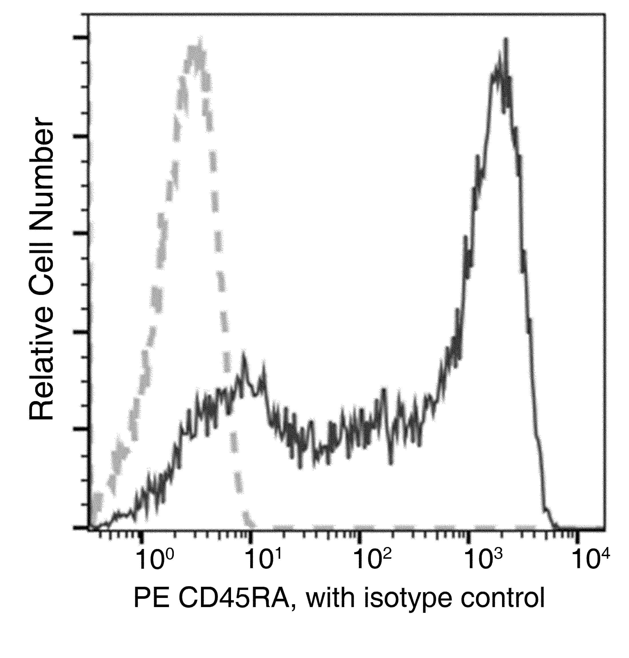 Monoclonal Mouse anti-Mouse CD45RA Antibody (clone 27, PE)