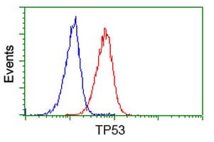 TP53 / p53 Antibody (clone OTI5D9)