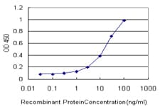 Monoclonal Mouse anti-Human ORC4L / ORC4 Antibody (clone 2A8, IF)