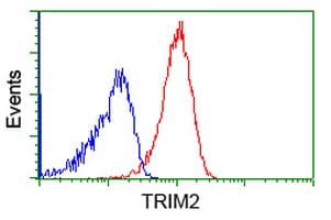 KIAA0517 / TRIM2 Antibody (clone OTI2B2)