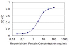 RENT1 / UPF1 Antibody (clone 4G3)