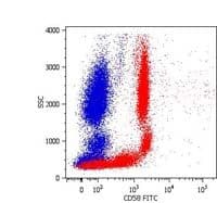Monoclonal Mouse anti-Human CD58 Antibody (clone MEM-63, FITC)