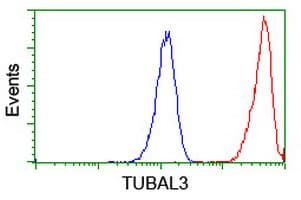 TUBAL3 Antibody (clone OTI4D8)