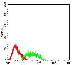 SSTR2 Antibody (clone 6A1C6)