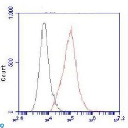 Monoclonal Mouse anti-Human ACLY / ATP Citrate Lyase Antibody (IF, WB)