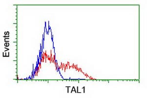 TAL1 Antibody (clone OTI6H6, Carrier-free)