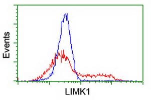 LIMK1 / LIMK Antibody (clone OTI1F1)