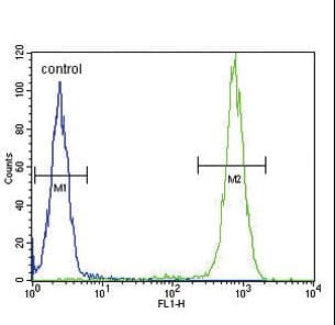 Polyclonal Rabbit anti-Human IL4 Antibody (aa122-150, IHC, WB)