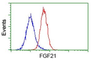 FGF21 Antibody (clone OTI3E5)
