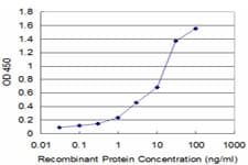 GSTO1 Antibody (clone 1B6)
