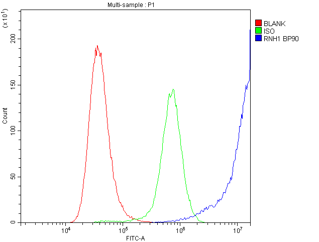 RNH1 Antibody (aa2-37)