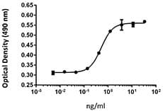 Human FGF9 Protein (Recombinant)