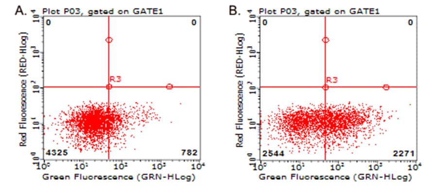TNFRSF4 / CD134 / OX40 Antibody (clone UMAB276)