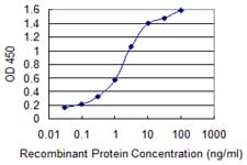 ALK2 / ACVR1 Antibody (clone 2D5)