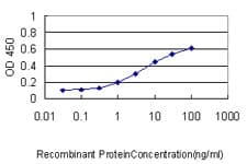 Monoclonal Mouse anti-Human ARF5 Antibody (clone 1B4, IF, WB)