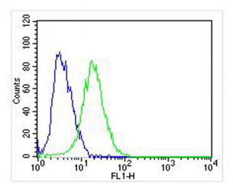 NGFR / CD271 / TNR16 Antibody (aa276-310)