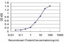 FGR Antibody (clone 4C12)