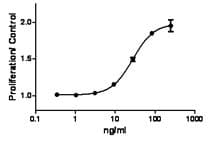 Mouse KITLG / SCF Protein (Recombinant)