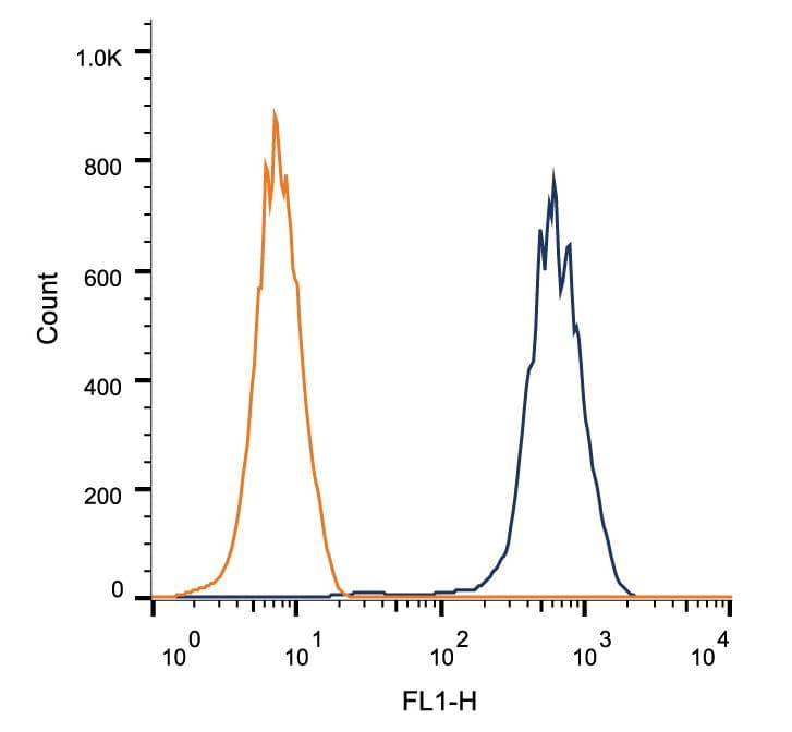 LAMP2 / CD107b Antibody (clone H4B4)