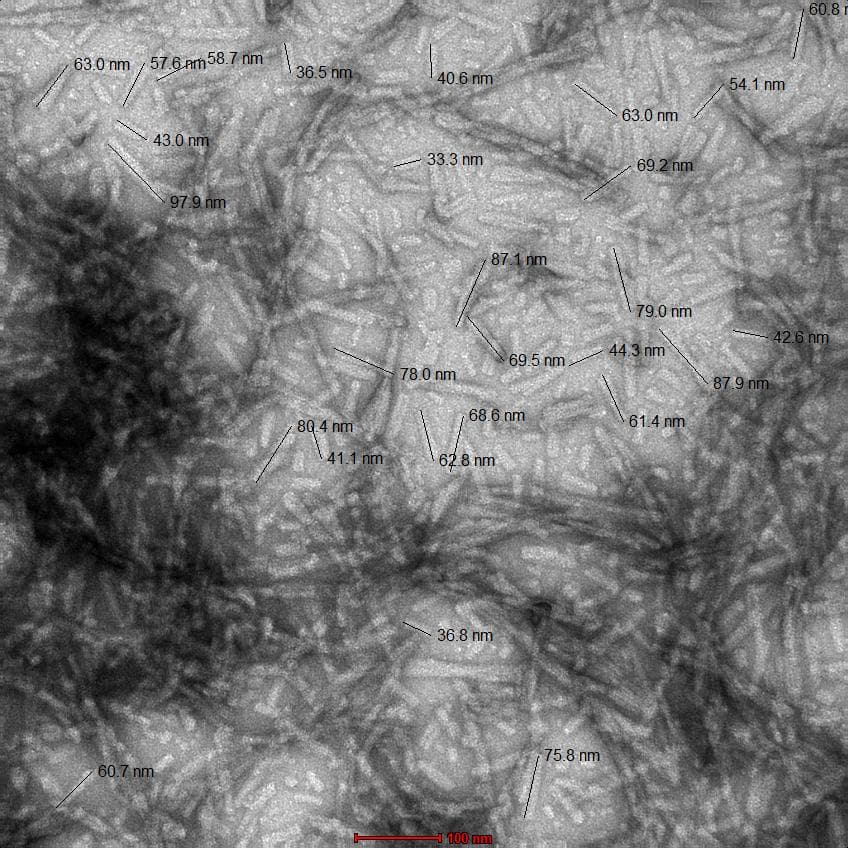 Mouse SNCA / Alpha-Synuclein Protein (Recombinant)