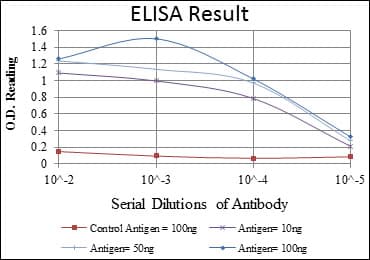 IHC-plus™ BMPR2 Antibody (clone 1F12)