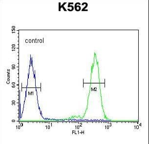 RTP4 / IFRG28 Antibody (aa186-215)