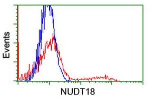 NUDT18 Antibody (clone OTI5D7)