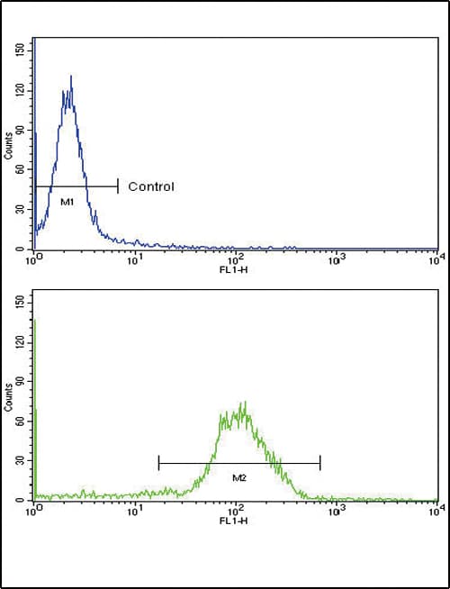 IHC-plus™ NPPA / ANP Antibody (aa30-56)