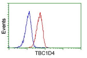 TBC1D4 / AS160 Antibody (clone OTI5E6)