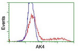 AK4 / Adenylate Kinase 4 Antibody (clone OTI7E5)
