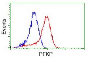 PFKP Antibody (clone OTI2E10)