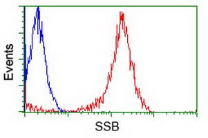 IHC-plus™ Monoclonal Mouse anti-Human SSB / La Antibody (clone 9D6, IHC, IF, WB)