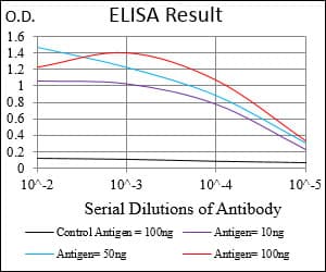 SMCP Antibody (aa1-116, clone 5C10A2)