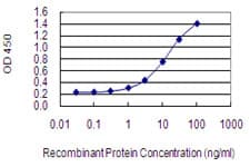 Myosin VI / MYO6 Antibody (clone 2E12)